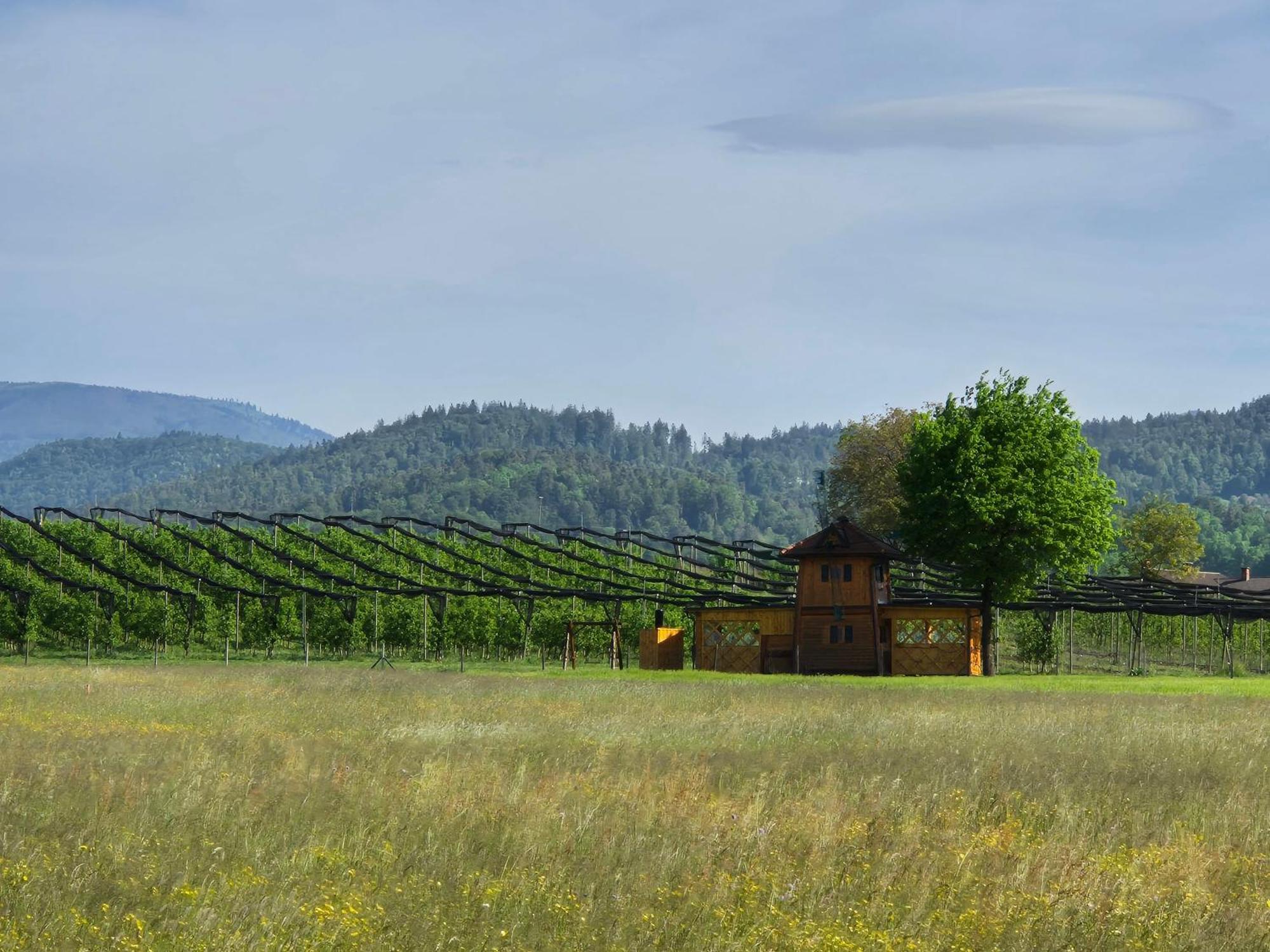 Unique Wooden Holiday House In Nature Lukovica pri Domžalah Exteriör bild